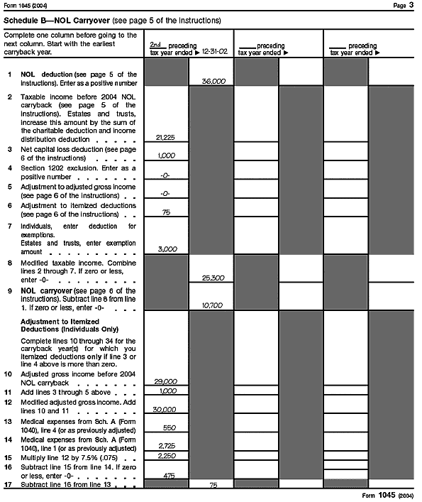 Form 1045, page 3