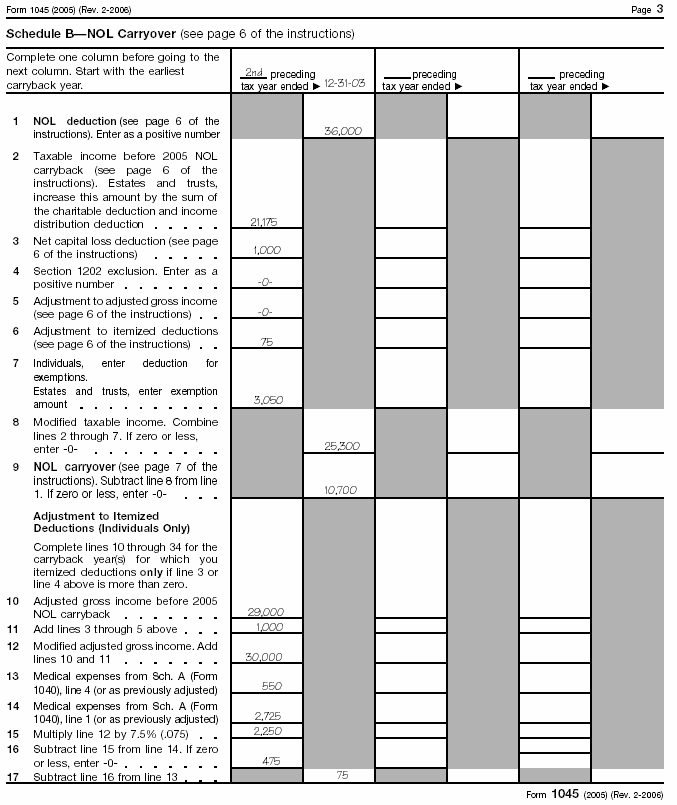 Form 1045, page 3