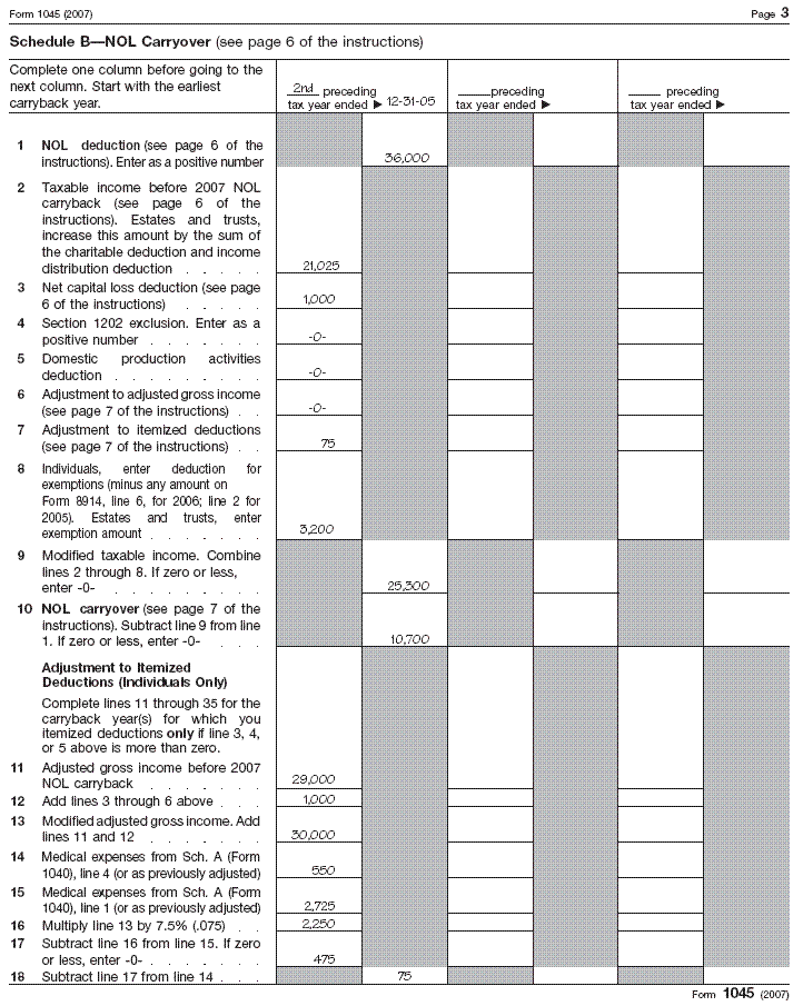 Form 1045, page 3